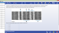 HISTOLOGY.pdf